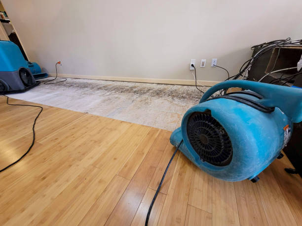 Professional Sewage Cleanup technician working in Soda Springs, CA